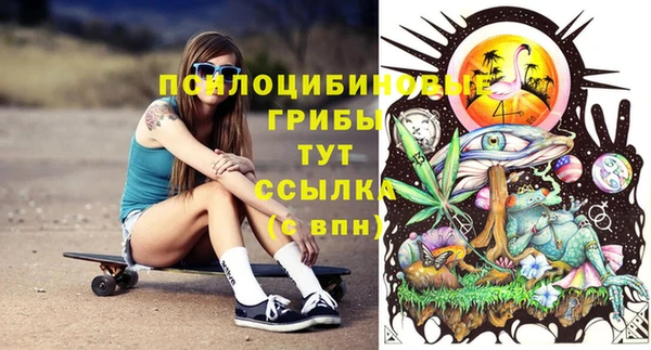 соль ск Алексеевка