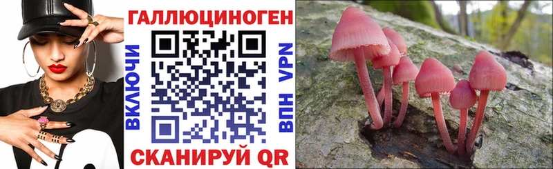 Псилоцибиновые грибы GOLDEN TEACHER  закладка  Лаишево 